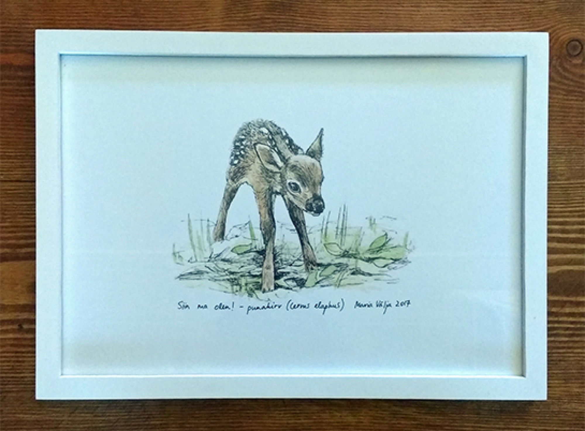 Poster illustratsiooniga punahirvest puitraamis